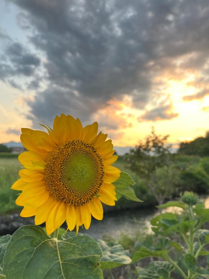 クーネオ Casa Vola Bisalta Bed & Breakfast エクステリア 写真